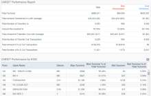 Performance Report